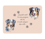 TOVAGLIETTA AUSTRALIAN SHEPHERD BLUE MERLE