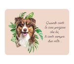 TOVAGLIETTA AUSTRALIAN SHEPHERD RED MERLE