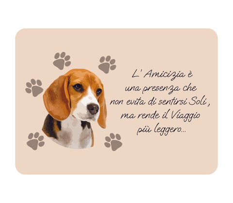 TOVAGLIETTA BEAGLE