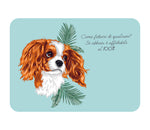 TOVAGLIETTA CAVALIER KING