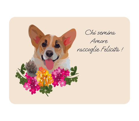 TOVAGLIETTA CORGIE