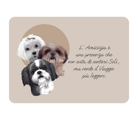 TOVAGLIETTA SHIH TZU